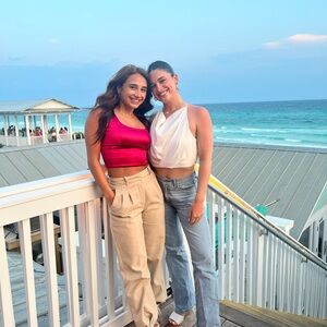 Pink bustier aritzia top